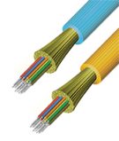 Two optical fiber ends, cut back to their different layers